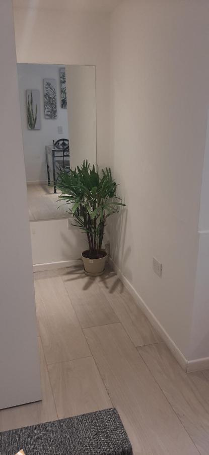 Apartament Coqueto Loft Palermo Hollywood Buenos Aires Zewnętrze zdjęcie